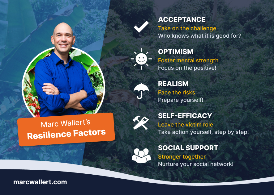 mw flyer resiliencefactors final
