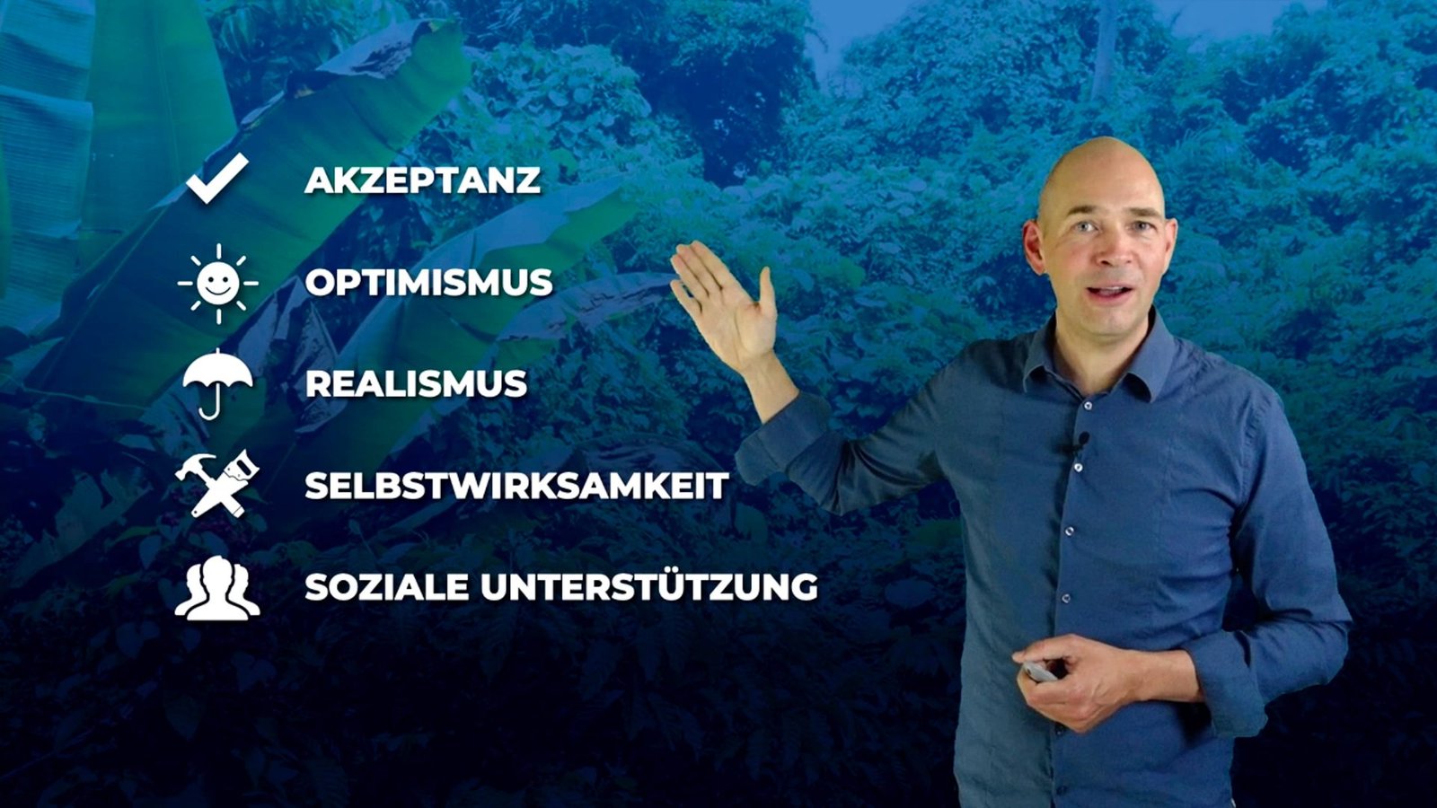 freshup,FreshUp-Paket,FreshUp-Clips