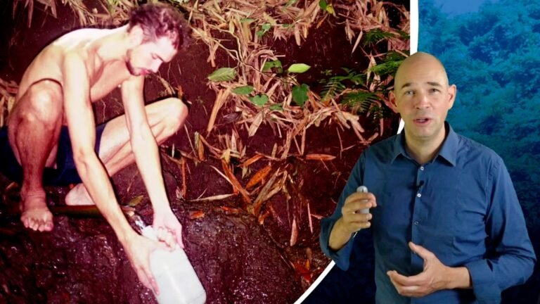 freshup,FreshUp package,FreshUp clips