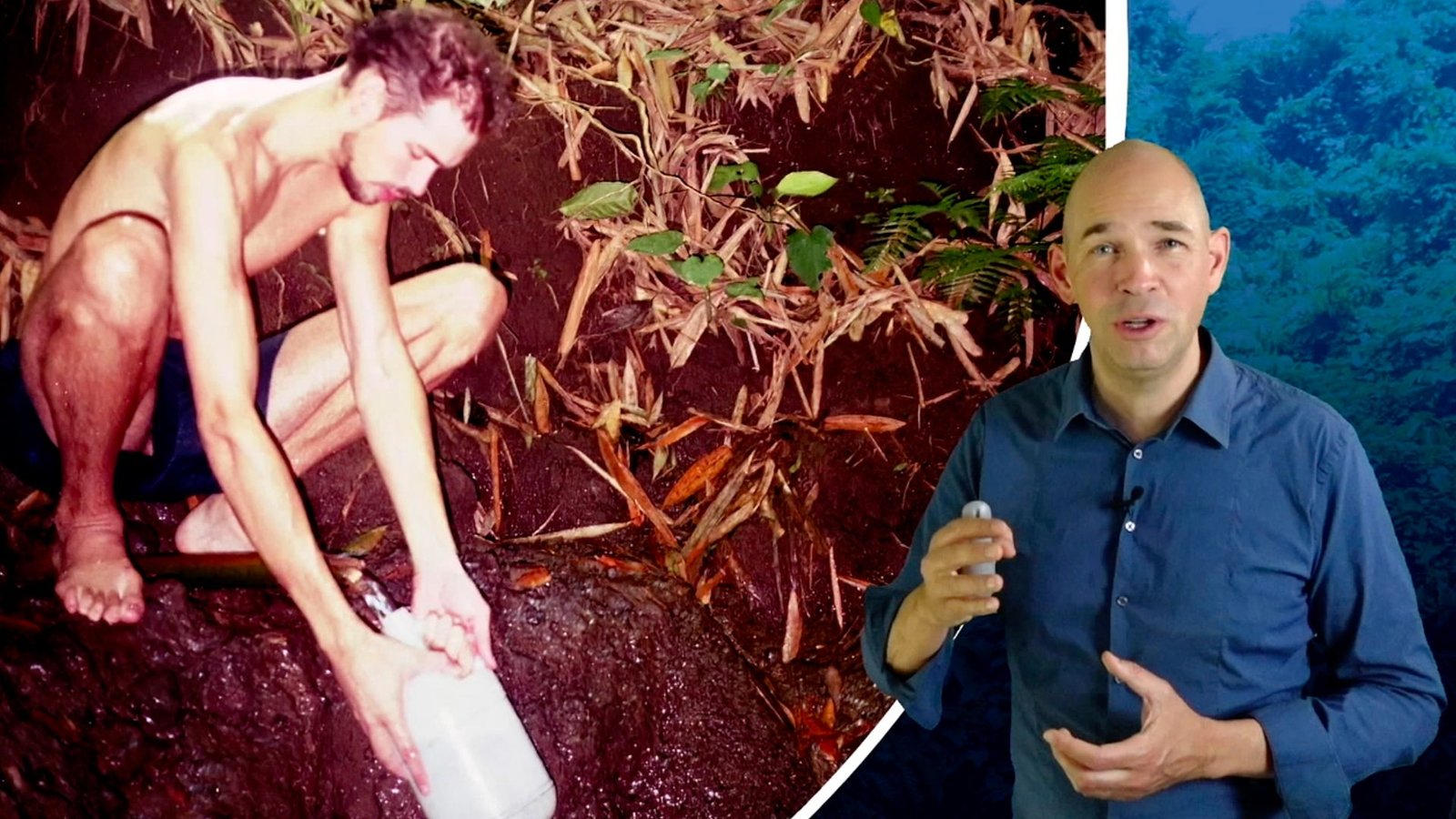 freshup,FreshUp-Paket,FreshUp-Clips