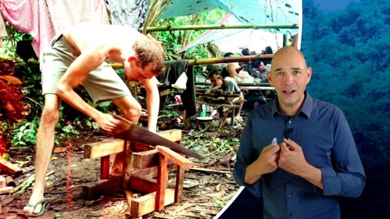 freshup,FreshUp package,FreshUp clips