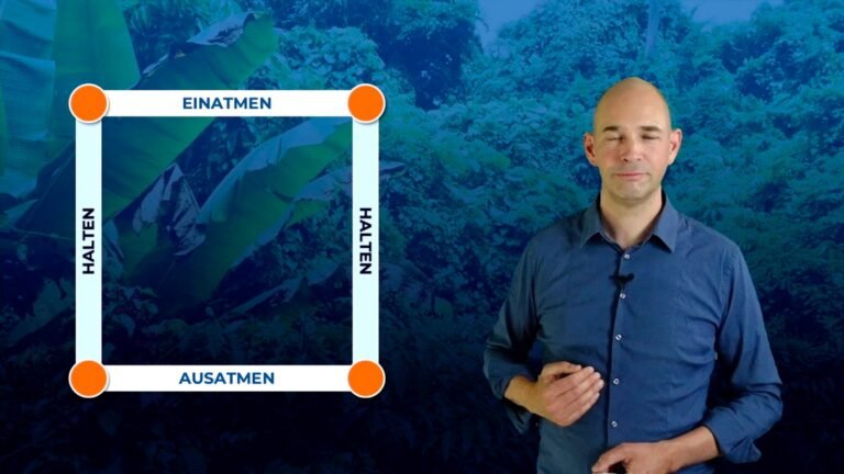 freshup,FreshUp package,FreshUp clips